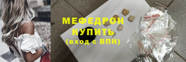 индика Богданович