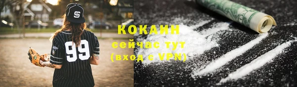 индика Богданович