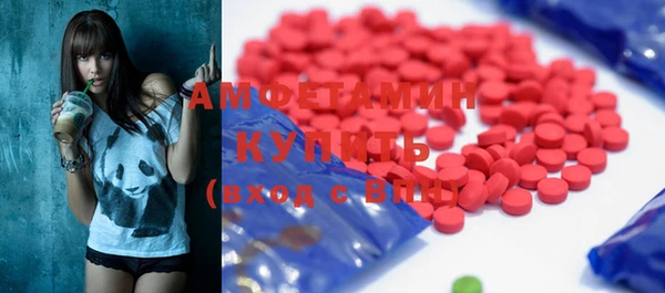 индика Богданович