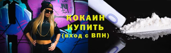 индика Богданович