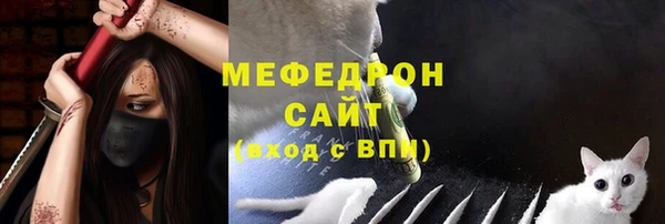 индика Богданович