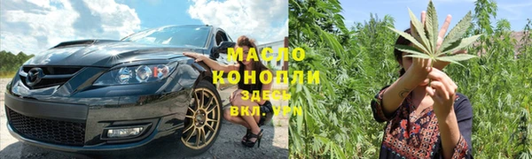 индика Богданович