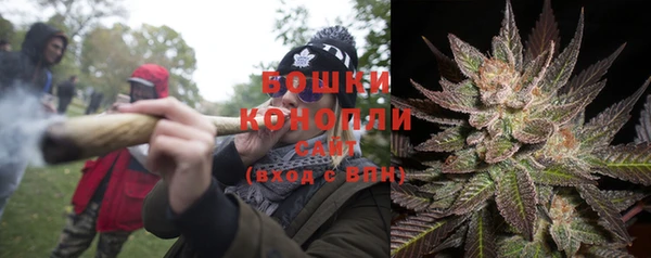 дмт Богородск