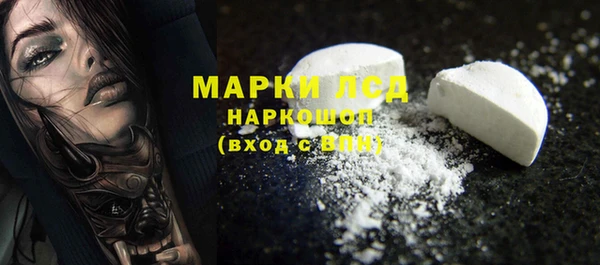 индика Богданович