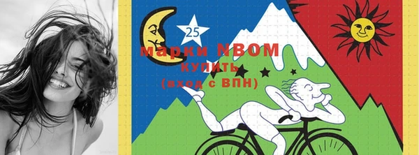 индика Богданович